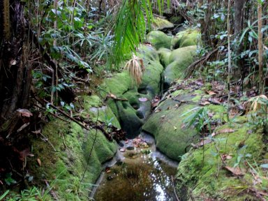 Bako National Park