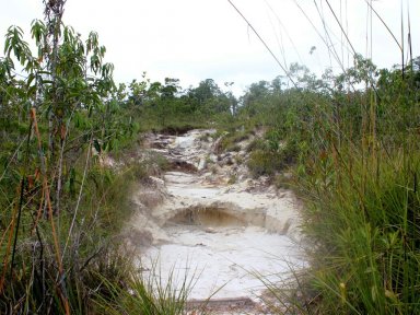 Bako National Park