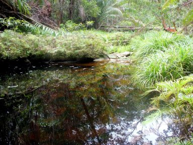 Bako National Park