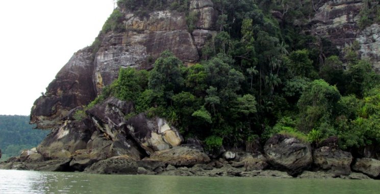 Kuching: Bako National Park