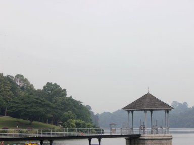 MacRitchie reservoir