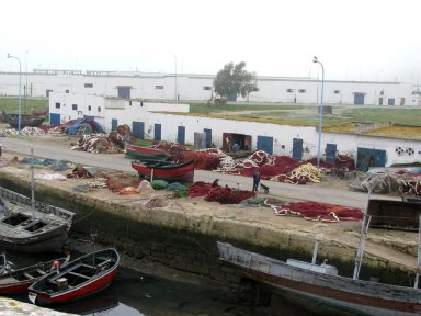 Boats and nets