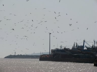 Essaouira