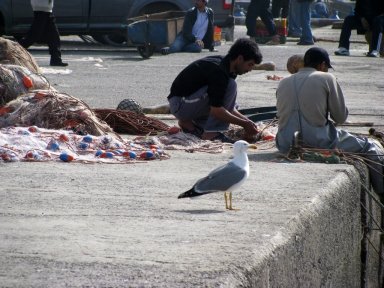 Essaouira harbor