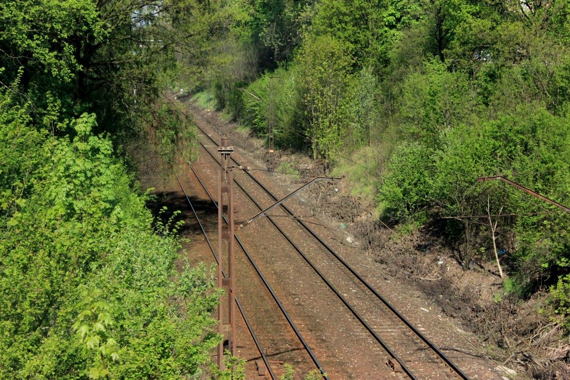 Train tracks