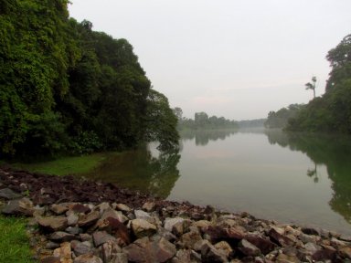 Upper Peirce Reservoir