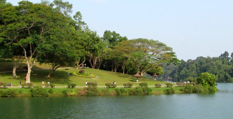 Sunday in MacRitchie