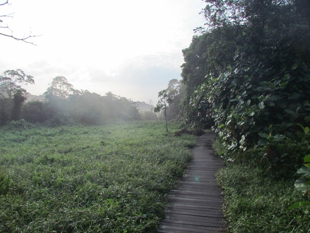 Running path