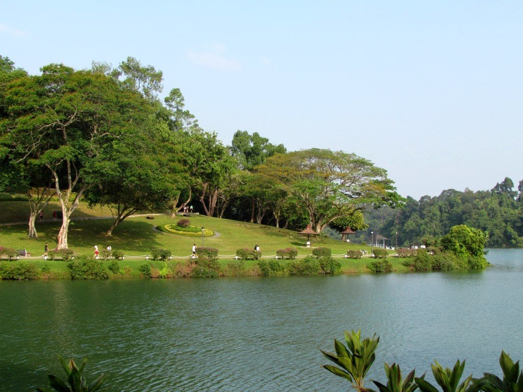 MacRitchie reservoir