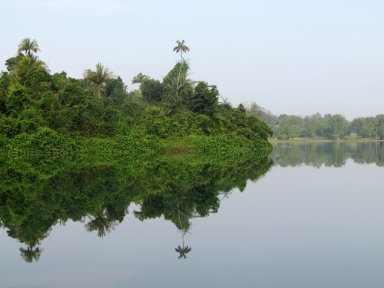 MacRitchie boardwalk