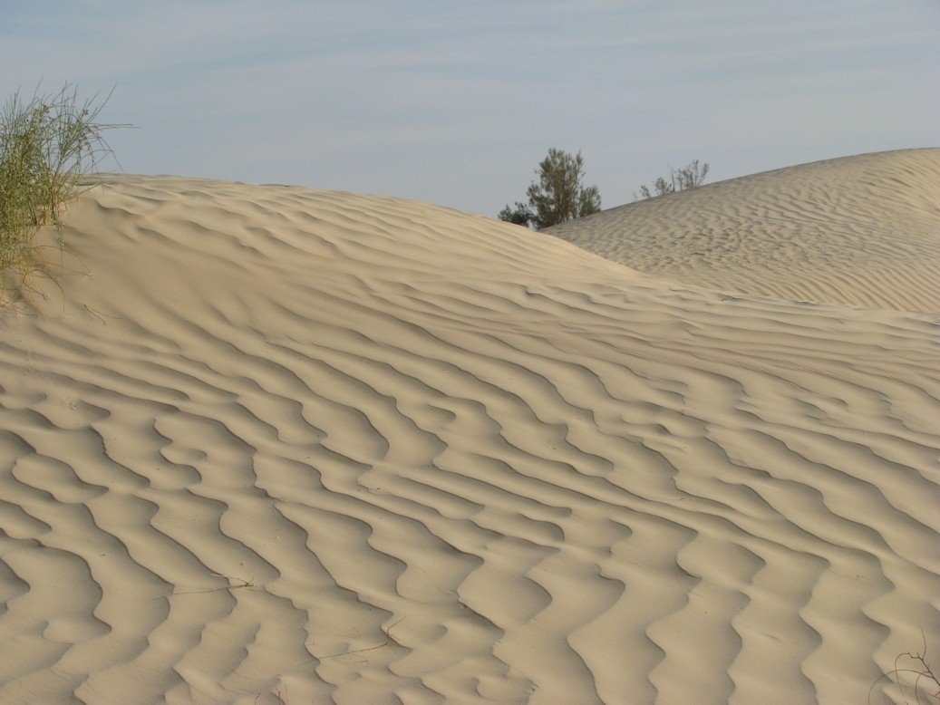 Sahara desert