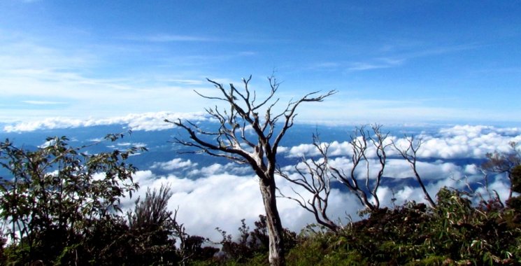 Mount Kinabalu Nov'11