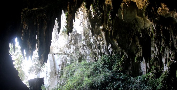 Kuching: Caves